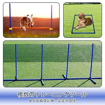 Amazon.co.jp: ドッグアジリティ 犬 アジリティ 障害物器具セッ